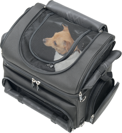 Maletas para llevar perros hotsell